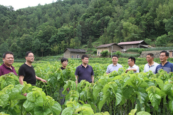 安康市商務(wù)局領(lǐng)導(dǎo)來我公司調(diào)研春蠶收購及扶貧點蠶?；亟ㄔO(shè)情況